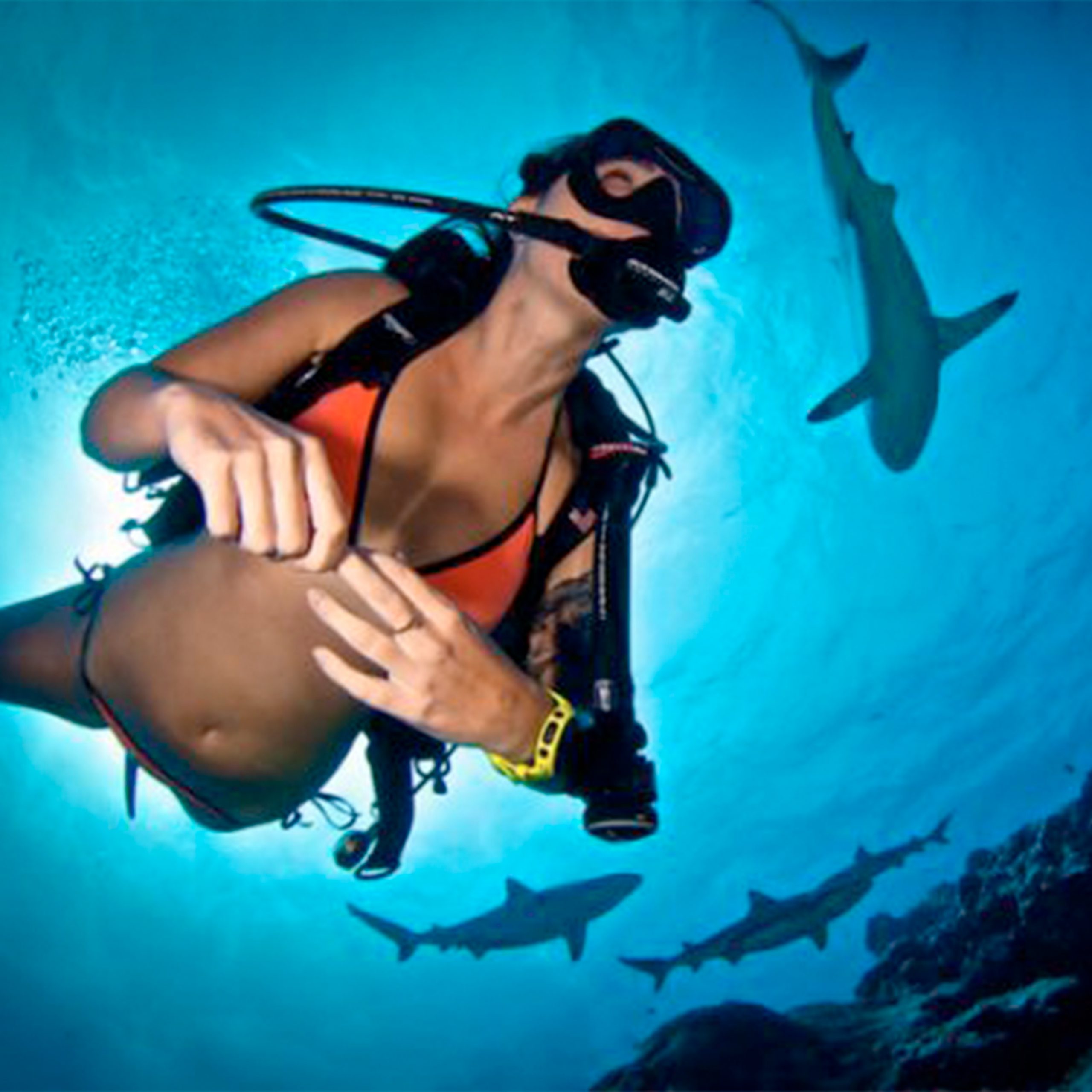 Scuba woman attacks diver hart photos