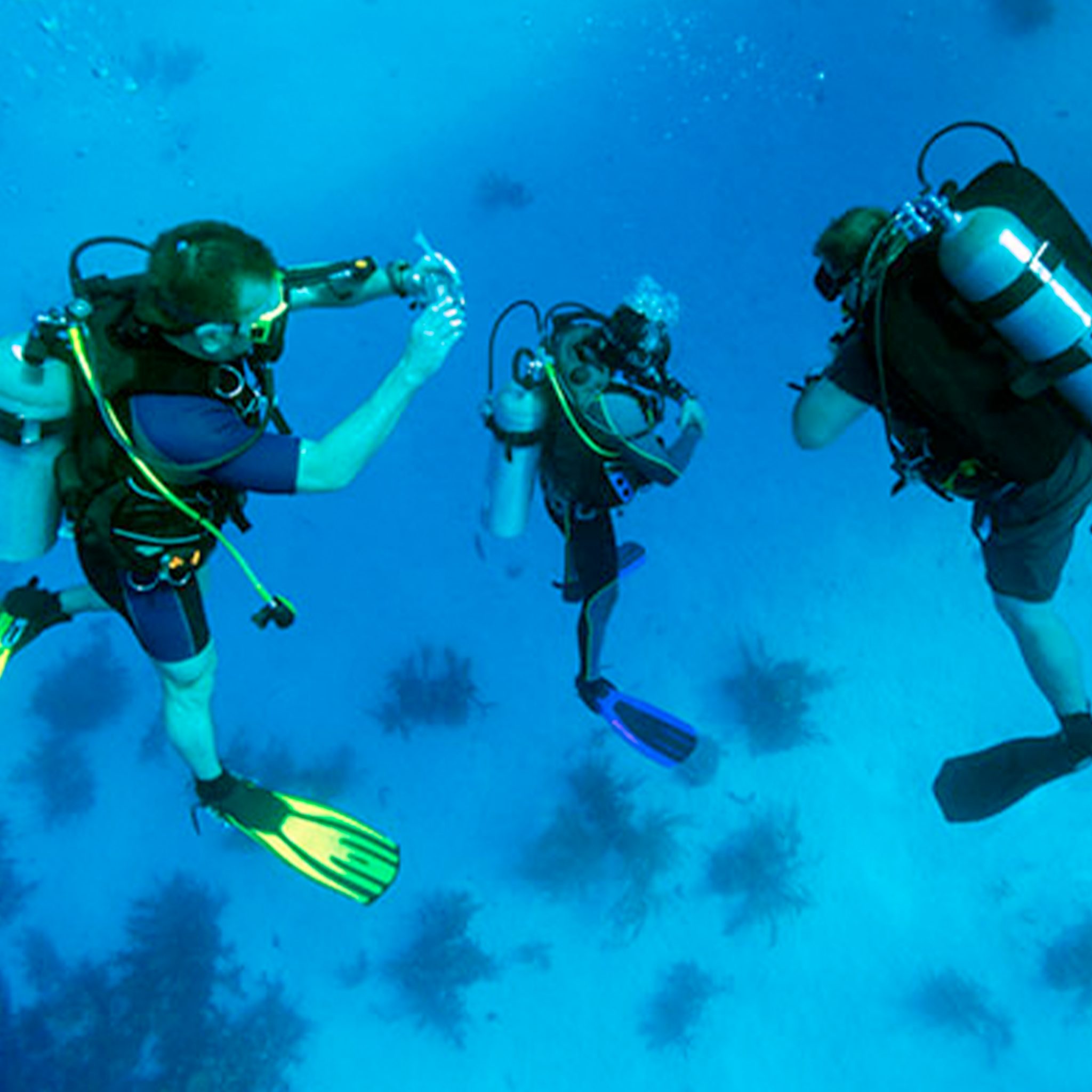 Diving in Tenerife - ActifDay