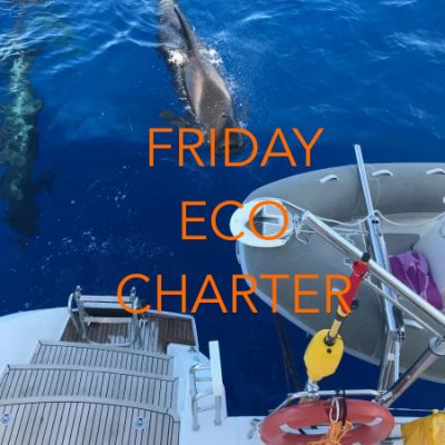 Friday Eco Charter